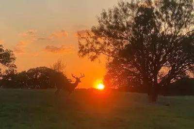 Image de Private Ranch Getaway Near Lampasas 3br Lodge Game Room Fishing Wildlife & Views