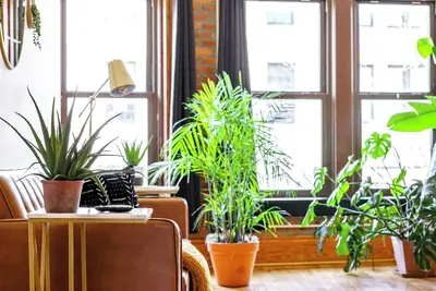 Image de Jungle House Luxury Lofts – Short North High Street
