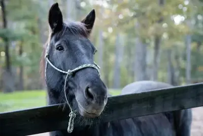 Little Bit Farm - Create your own stay