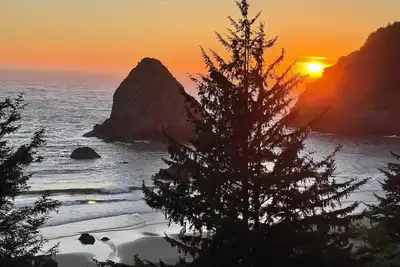Image de Large Log Cabin Nestled in the Pines on the Coast