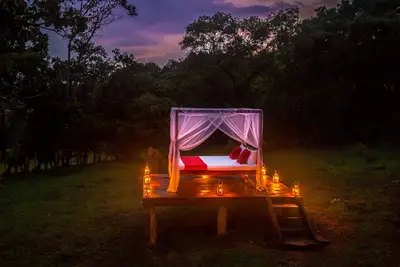 Image de Mountain Top Glamping Tree House with a Star Bed