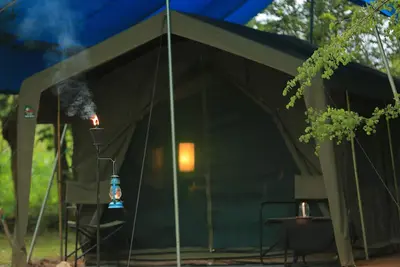 Image de Glamping Safari Tent Bordering Yala National Park