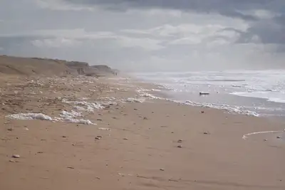 Image de Maison Neuve à louer sur la presqu'ile d'Arvert