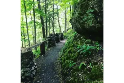 Image de Tranquil Nest - peaceful Buffalo Niagara stay