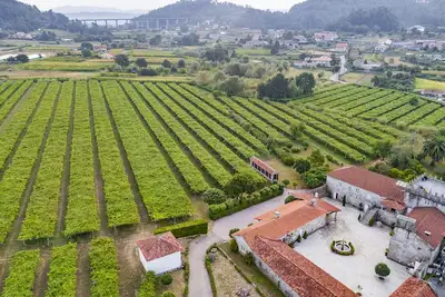 Medieval manor among vineyards for 12 guests. Large gazebo with barbecue and garden