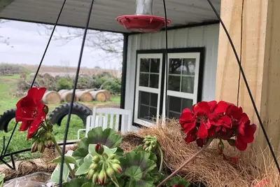 Image de Mulberry Cottage Farm-Stay. A unique farm-stay in Southern Iowa