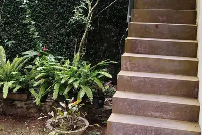 Image de The Nature with nature