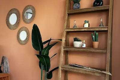 Image de Appartement Chaleureux Mamelles