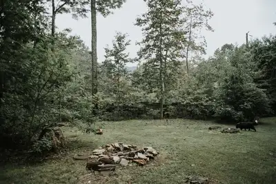 Image de Mountain getaway in Black Mtn/Close to Asheville - Pet Friendly