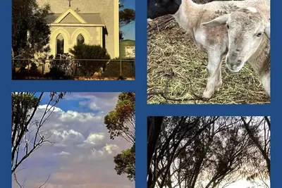 Image de Katz Retreat, interactive farm stay