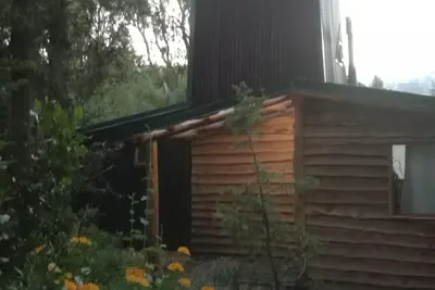 Image de The Tower, from the top of the forest. . .