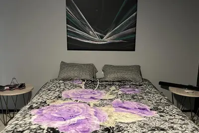 Image de Super Bowl 4 miles from stadium newly renovated 3bd/2Ba 1910 Sq Ft