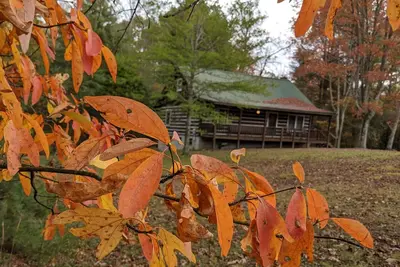Image de Hike, bike, horse riding or porch sitting near Big South Fork and Pickett St. Pk