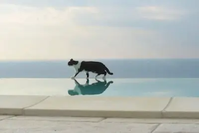 Image de Apartment in semi-detached house, quiet location, sea view