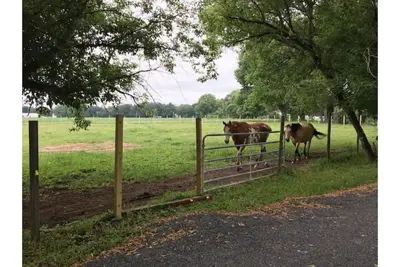 Image de Barn House: isolated sheep farm Hudson area
