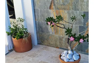 Image de Les deux appartements de luxe reunis Evasion+Zenitude