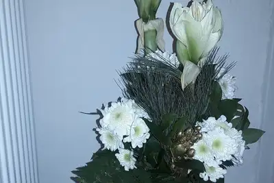 Image de Oasis of relaxation in the Oberberg 10 minutes from the Panoramabad adventure trail