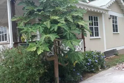 Image de Richlyn's House perfect for a peaceful and quiet vacation