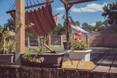 Image de ☆ swimming pool ☆ spa ☆ arcachon basin