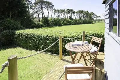 Image de Pine in Cleeve Park Near Blue Anchor