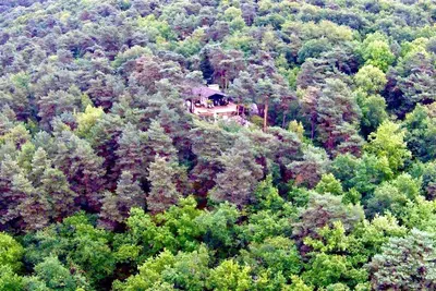 Image de Two architect houses in the forest