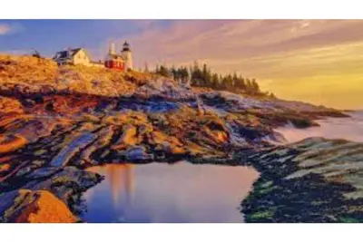 Image de One year new home! !