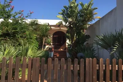 Image de The Palms of Calamancina