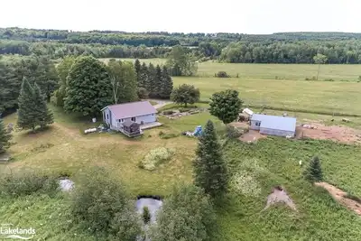 Image de A cozy family retreat surrounded by trees, Nature, comfort and family memories.