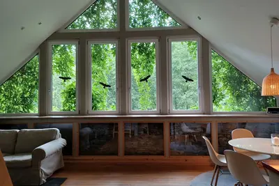 Image de Vacation apartment/apartment for 6 guests with 90m² in Wallscheid (179328)