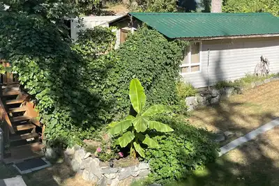 Image de Grapevine Cottage - Rustic tiny self-contained cottage and deck for single guest