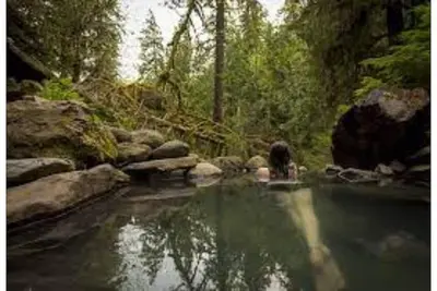 Image de Ocean View Dream