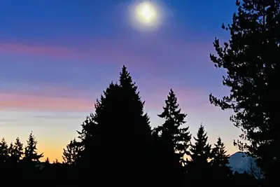 Image de MountForest Retreat