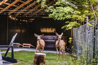 Image de Deer Hideout - King bed/Hs WiFi/Hot Tub/Fire Pit