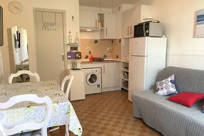 Image de Appartement T2 avec loggia et internet à deux pas de l'étang de Thau à Balaruc-les-Bains