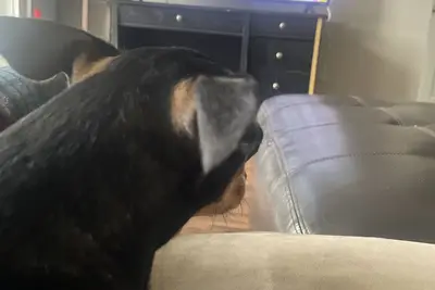 Image de You will Definitely Enjoy this Property.