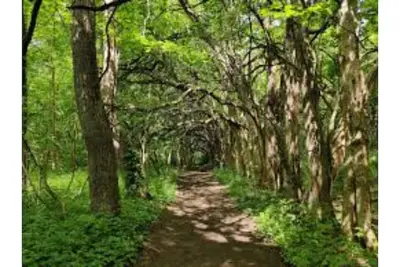 Image de Family styled but large house near bars! !