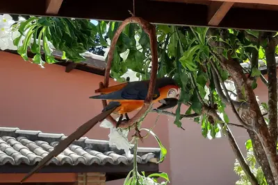 Image de Beautiful house in Porto Seguro, 100 meters from Taperapuan beach.