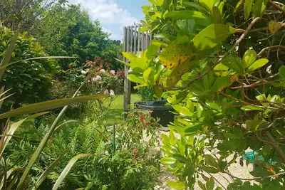 Image de Villa Bambou, un ecrin de verdure en coeur de ville