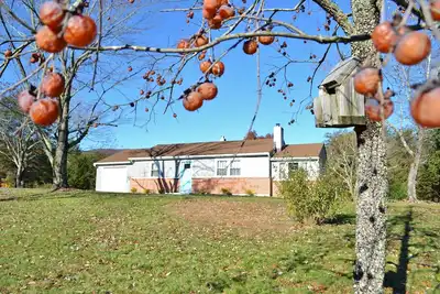 Image de Shenandoah Cottage at Persimmon hill with Mountain Views