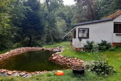 Image de Hamlet at the Greifenwiese