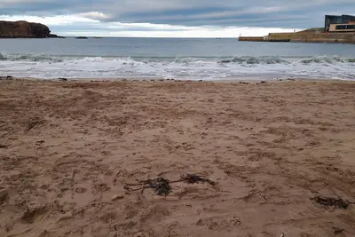 Image de Charming Eyemouth apartment close the beach