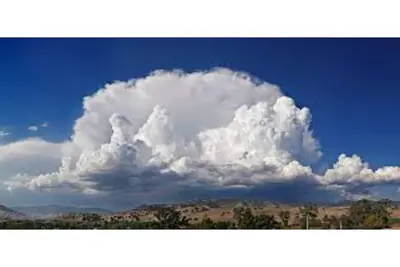 Image de *New* Ig Worthy Downtown Dallas Townhome