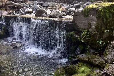 Image de Mountain forest  retreat - safari tents by private creek, minutes from Sun Peaks