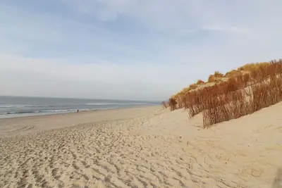 Image de Charmant chalet de dunes entre golf et plage à Hollum