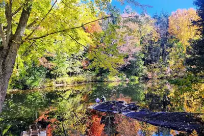 Image de Perfect Escape from the city, recharge and connect with nature!