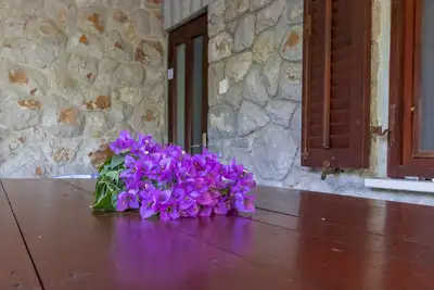 Appartement de trois chambres avec la terrasse Mali Losinj, Losinj (A-20594-a)