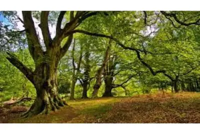 Image de Geneva Home