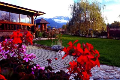 Image de Hochwertig eingerichtetes Ferienhaus für große Gruppen