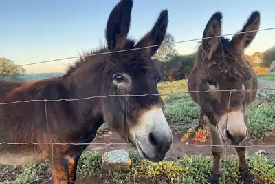 Hilltop Country Cottage