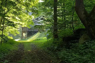 Image de Elysium Falls deep in the Laurels